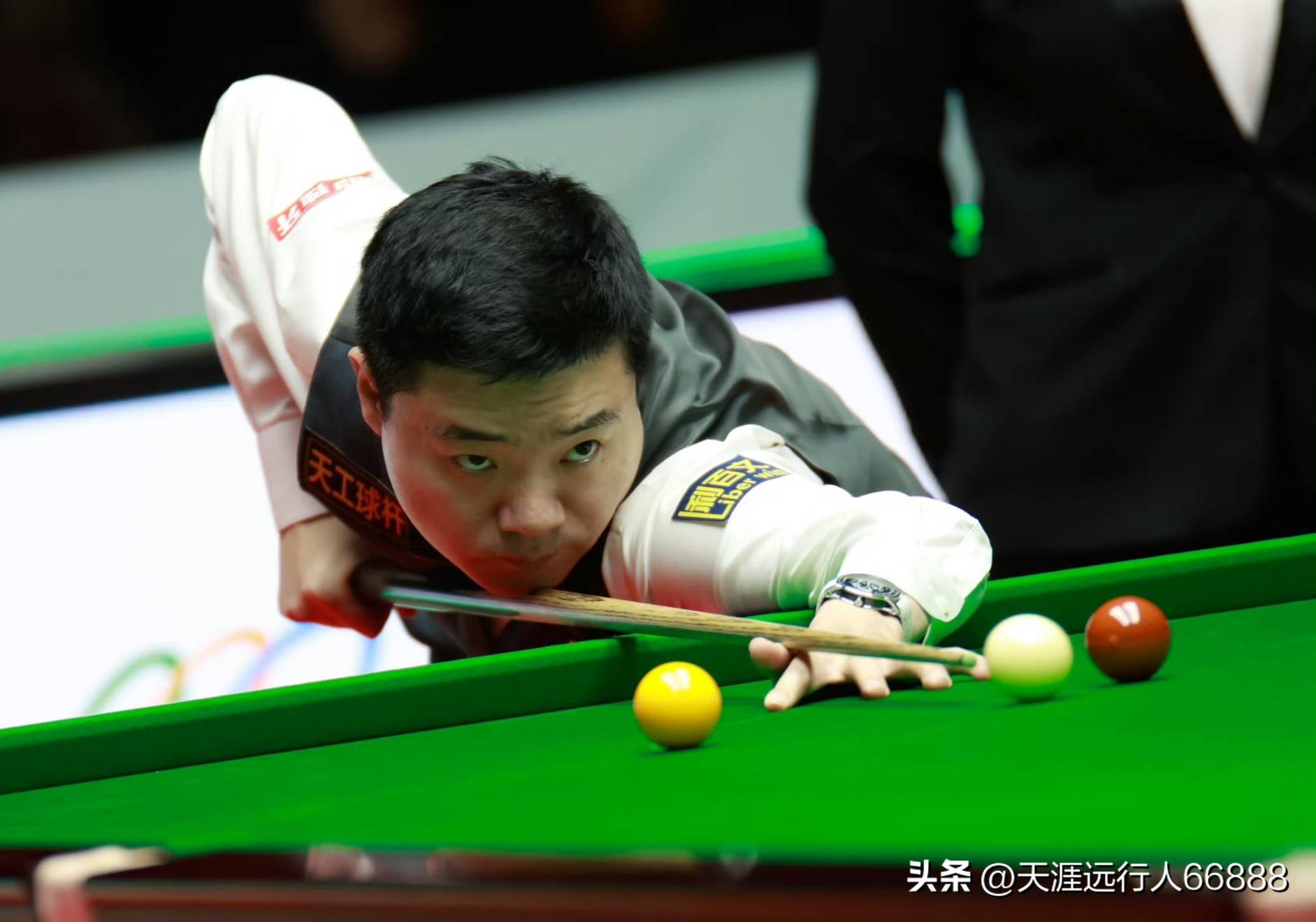 生态反馈保 生态反馈保